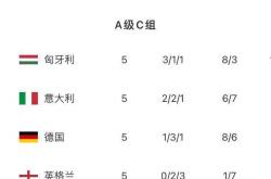 开云体育官方网站-俄罗斯客场不敌匈牙利，积分榜领先度下降的简单介绍