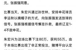 开云平台-争议判罚遭质疑，裁判执法遭到球迷撰写