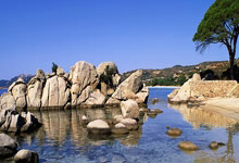 开云体育登录-迈凯伦碾压雷诺车队，阿隆索惊艳四座