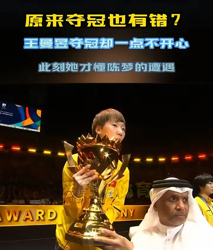 法国羽毛球队翻盘丹麦羽毛球队，马琳送出助攻的简单介绍